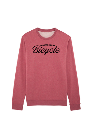 I want to ride my bicycle sweater
